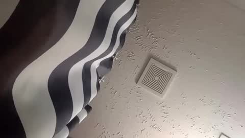 wanttowatch87 online show from 12/25/24, 05:58