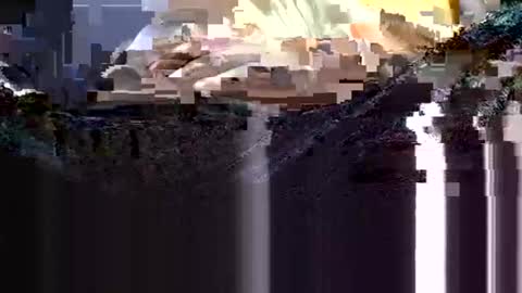 wanttowatch87 online show from 02/12/25, 03:51