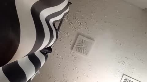 wanttowatch87 online show from 02/20/25, 07:34