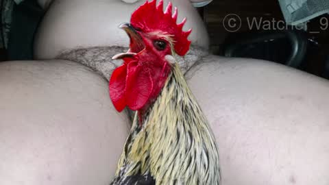 classified online show from 12/25/24, 08:50