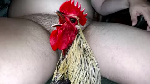 classified online show from 10/04/25, 07:34