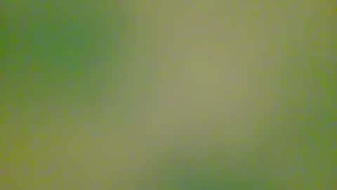 watchplaycum online show from 10/08/25, 11:24