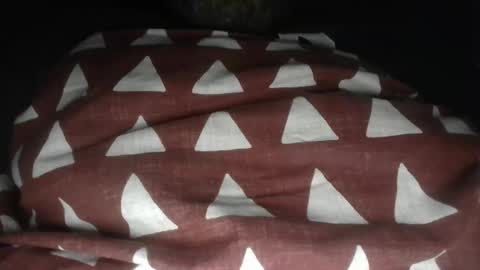 Snapshot of watchweb2008 chatting on 10/05/25, 04:49 BrownAssboy online show from 10/05/25, 04:49