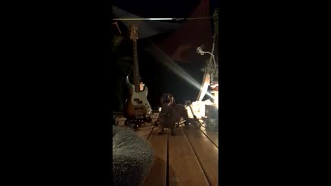 Snapshot of watershed111111 chatting on 02/19/26, 03:13 watershed111111 online show from 02/19/26, 03:13