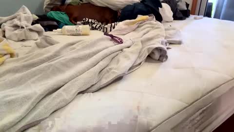 Snapshot of watershed111111 chatting on 02/26/26, 06:40 watershed111111 online show from 02/26/26, 06:40