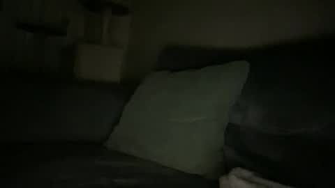 waveonce online show from 11/28/25, 08:28