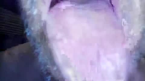 wayne1311 online show from 03/01/26, 07:21