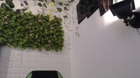 Trixie 3 online show from 02/17/25, 07:42