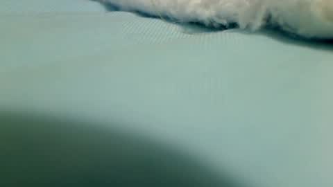 webbo809 online show from 03/16/26, 04:33