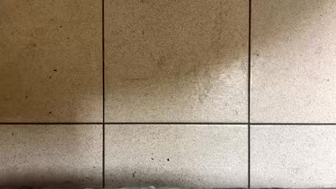 webchatter99 online show from 01/02/25, 07:33