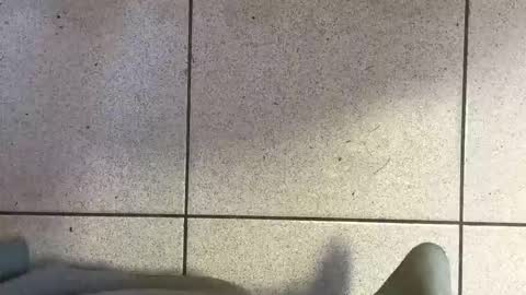 webchatter99 online show from 03/29/26, 05:51