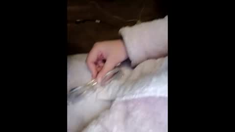 Marina online show from 03/23/26, 10:03