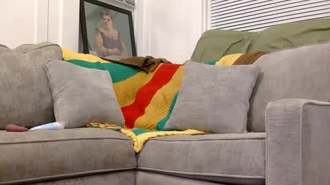 weeeee_snawww online show from 04/17/26, 10:18