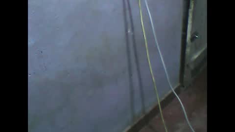 wela123456 online show from 11/01/25, 01:02