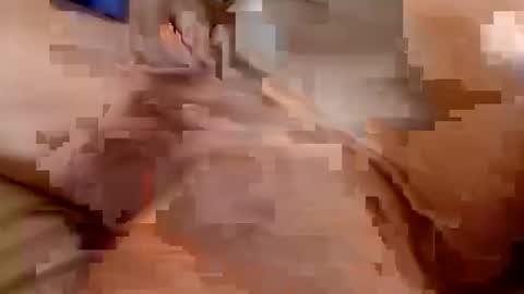 welldny online show from 10/25/25, 04:46