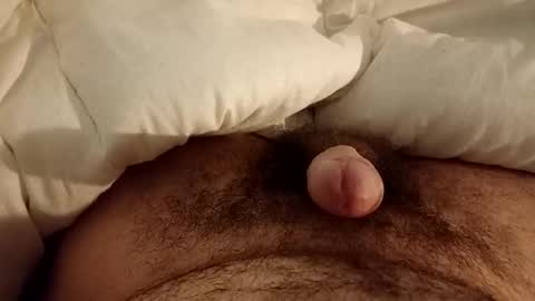 Werty online show from 12/12/24, 11:47