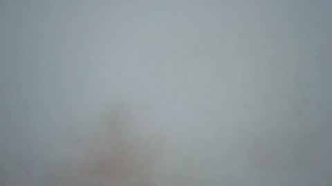 wet_pussieyy online show from 02/17/26, 09:21