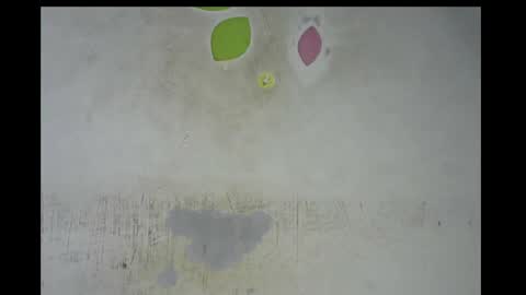 Bella online show from 11/14/25, 12:53