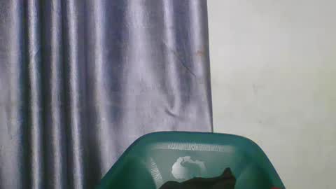 wetfatpussy_ online show from 03/05/26, 06:59