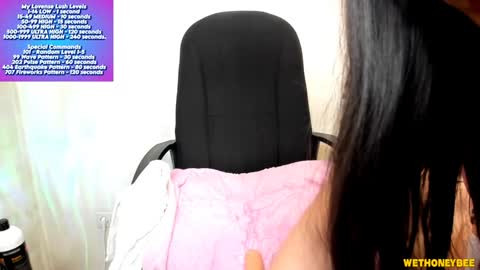 Snapshot of wethoneybee chatting on 02/04/25, 10:45 Mina online show from 02/04/25, 10:45