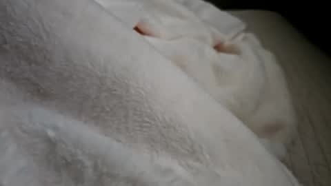 Snapshot of what_whaaat chatting on 09/21/25, 05:03 what_whaaat online show from 09/21/25, 05:03