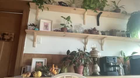 WhiskyLove online show from 11/04/25, 04:50