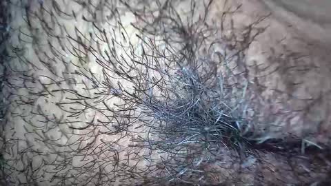 white_sexy_ online show from 11/20/25, 10:15