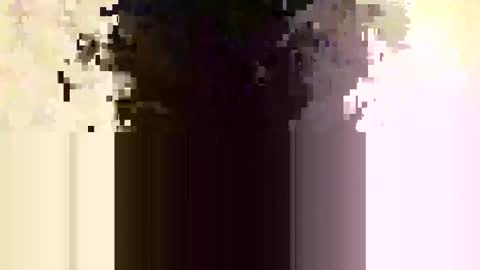 Snapshot of whitedood432 chatting on 11/28/25, 12:19 whitedood432 online show from 11/28/25, 12:19