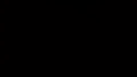 whitehead_lion online show from 02/14/25, 07:02