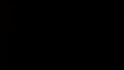 whitehead_lion online show from 02/24/25, 06:05