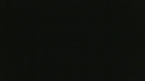 whitehead_lion online show from 10/19/25, 01:01