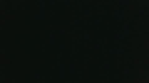 whitehead_lion online show from 11/14/25, 06:17