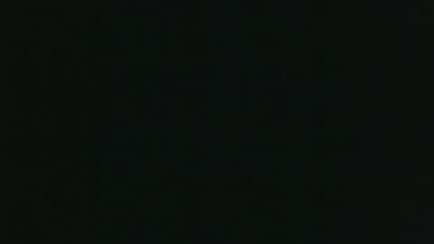 whitehead_lion online show from 03/14/26, 11:04