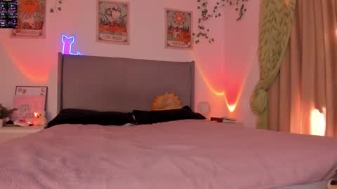 Kitty online show from 12/19/25, 06:48