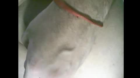 whitelines1991 online show from 03/06/26, 01:02