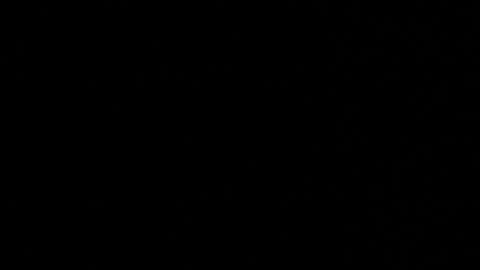 WhoDat online show from 03/26/26, 08:53