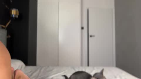 Alice online show from 10/02/25, 04:14