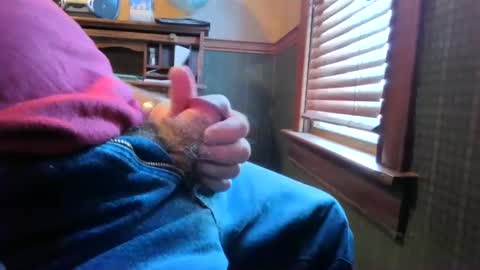 whydog online show from 03/01/25, 03:05