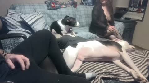 Snapshot of whynotforfun1 chatting on 01/10/25, 01:10 whynotforfun1 online show from 01/10/25, 01:10