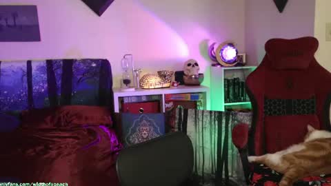 Snapshot of widthofapeach chatting on 07/21/26, 02:47 Gretchen Jimmy online show from 07/21/26, 02:47