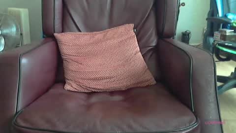 Snapshot of wilbert31 chatting on 06/16/26, 07:44 wilbert online show from 06/16/26, 07:44