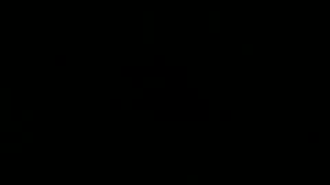 wild lemont online show from 02/25/26, 11:58