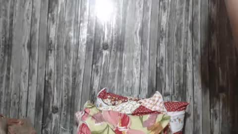 wild_ass_zessa online show from 11/27/25, 12:07