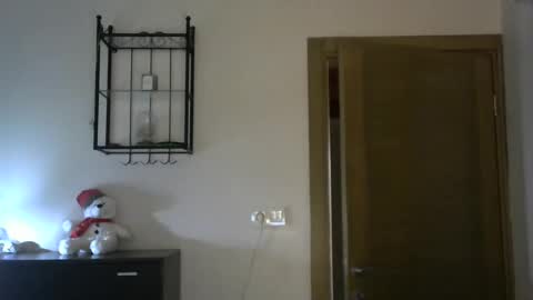 Snapshot of wild_silk_desire chatting on 02/18/25, 11:33 Alina online show from 02/18/25, 11:33