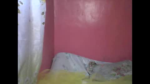 wild_sunflower11 online show from 12/25/24, 03:40