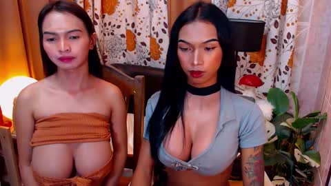 wildara online show from 02/08/25, 02:26