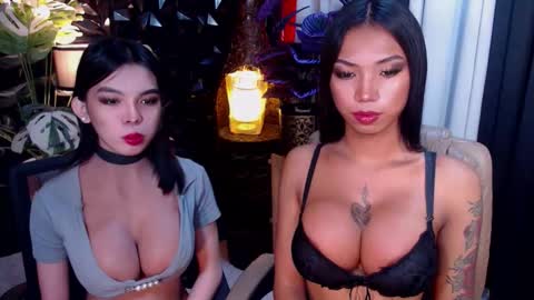 wildara online show from 11/21/25, 10:30