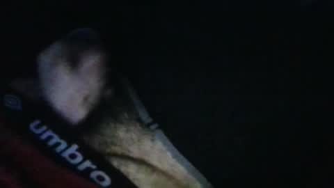 WildeAlex online show from 10/17/25, 11:46