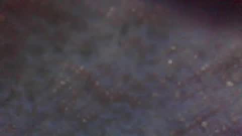 xxLavanderxx online show from 05/20/26, 07:47