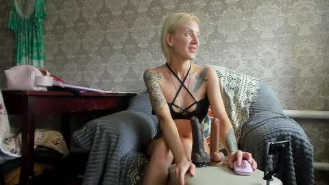 wildforestmuse  twitter online show from 04/13/26, 08:20